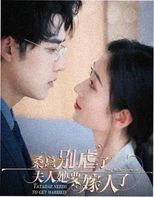 白塔纪事 高分剧集海报